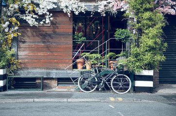 Fototapete bei efototapeten.de bestellen   