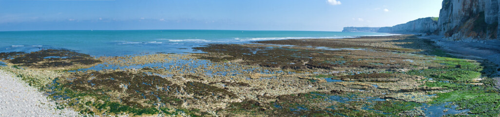 Watt bei Yport, Normandie, Frankreich