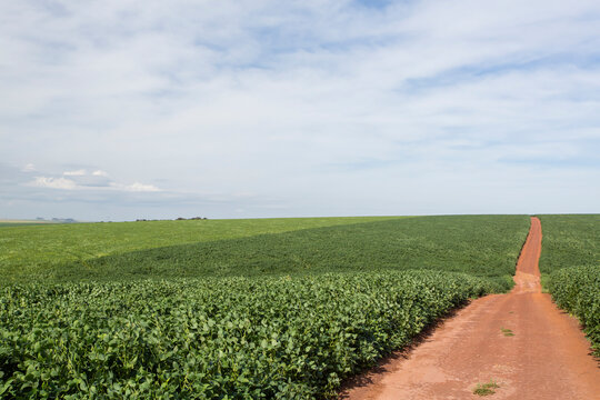 agriculture