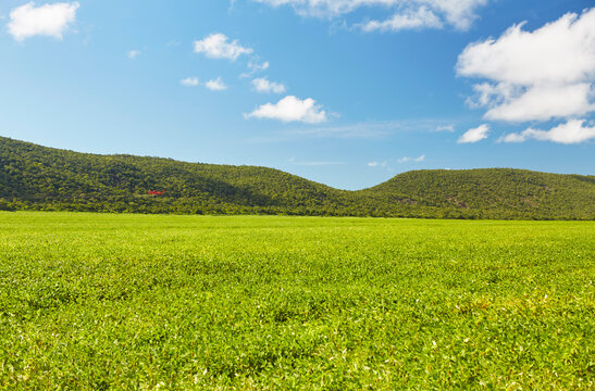 agriculture
