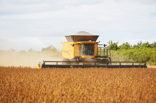 agriculture