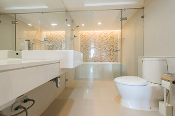 White toilet bowl
