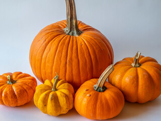 Pumpkin in still life