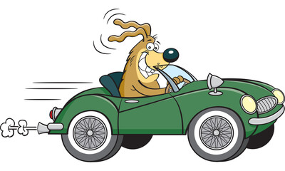 Cartoon illustration of a dog driving a convertible sports car with wire wheels.