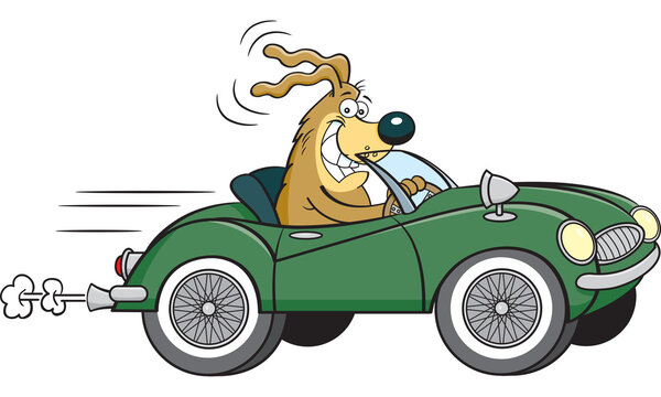 dog driving green car cartoon clip art preview