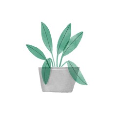 Watercolor hand painted house green plants in flower pots. floral elemnts isolated on white. Decorative greenery collection perfect for print, poster, card making and scrapbooking design