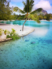 beautiful luxury resort on tropical island