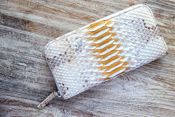 Light wallet from trendy snake python skin on wooden white background.