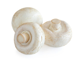 Fresh champignon mushrooms isolated on white background. Three champignons close up.