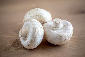 Fresh champignon mushrooms on wooden table, closeup. Organic champignons top view. Copy space