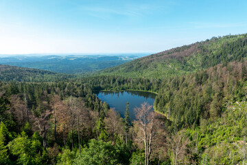 Fototapeta na wymiar Rachelsee im Nationalpark Bayerischer Wald