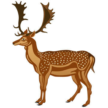 Deer vector flat styled image. Vector image