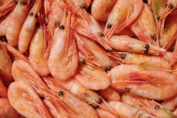 Orange shrimp macro photo.