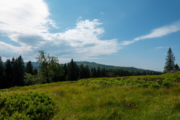 Fototapeta na wymiar Landschaft im Nationalpark Bayerischer Wald