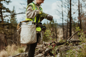 Female forester with saplings