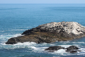 Seepferd Küste Nambia