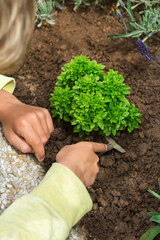  Gardening young boy, kid, activity stimulating mental health