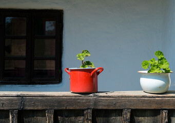 Village atmosphere - geraniums planted in red pots on the porch of an old house.