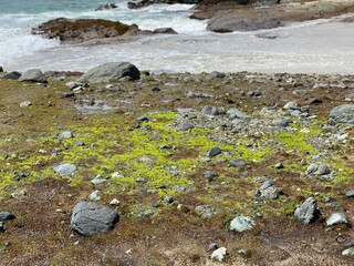 Obraz premium Laguna Beach rocks