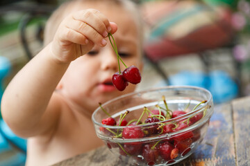 Cute happy boy taking sweet cherry from the plate, outdoor in garden