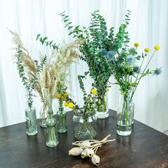 Interieurtrend Minimalismus, dekorative Glasvasen mit Eukalyptus, Distel, Craspedia, Phalaris und...