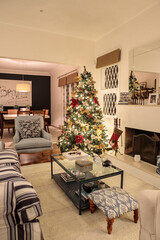 
Christmas tree assembled in the living room