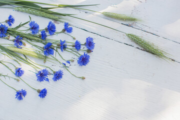 blue cornflowers on white old wooden background