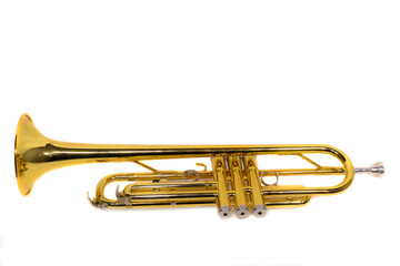 A single brass trumpet, all parts are in focus, isolated on a white background.