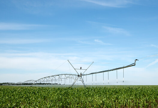 watering machine on a corn field