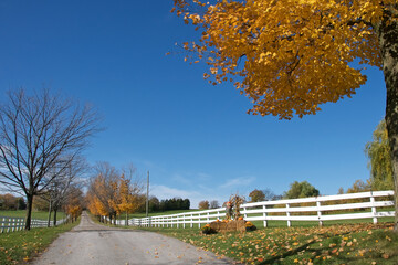 Wide-angle view of the dirt road in the farm with white color fence