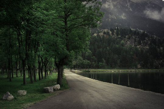 el panmt&agrave; tamb&ntilde;e fa goig