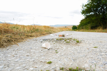 Human waste on a mountain road
