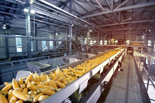 corn processing line perspective view