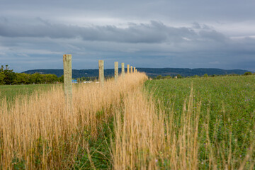 Fototapeta na wymiar fence post in farmers field before a storm