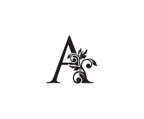 Vintage Letter A Logo. Classic A Letter Design Vector with Black Color and Floral Hand Drawn.
