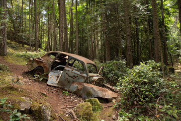 Car in woods - 2