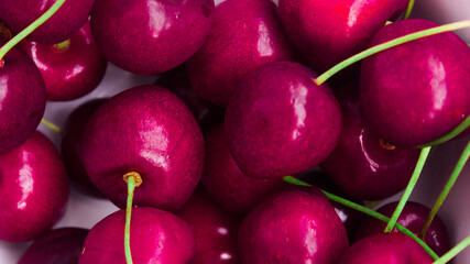 A lot of fresh sweet cherry fruit berries with water drops, close up. Pile of ripe cherries. Large collection of fresh red cherries. Ripe cherries texture background