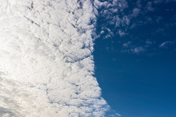 White clouds on a blue sky. A wall of clouds. Clear weather. Copy space