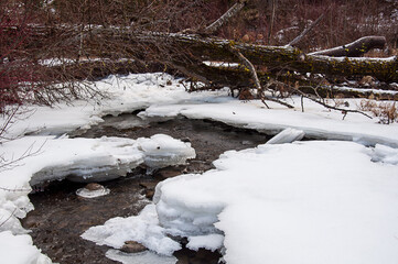 Winter forest landscape with a fallen tree and a thawing creek in this beautiful woodland nature scenic.
