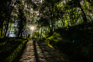 Paisajes durante la subida al monte Onggi y avistamiento de Buitres