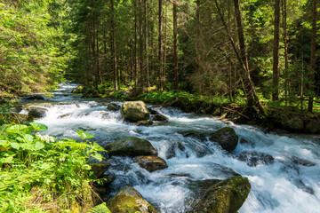 Tatry National Park stream in spring mountains , slovakia