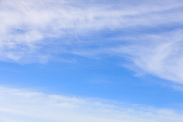 Fototapeta premium Tło wiosna lato. Piękno w naturze błękitnego nieba