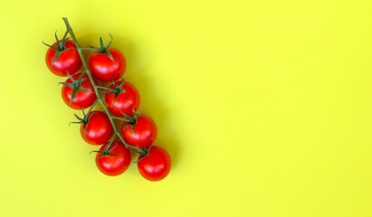 Juicy, fresh cherry tomatoes isolated on a bright green background. Concept of harvest, vegetarianism, consumption of ecological agricultural products. Top view, space for advertising text