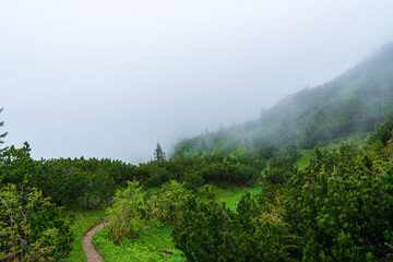 Fototapeta premium foggy morning at mountains , slovakia west tatras sivy vrch