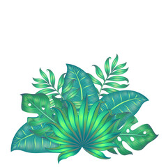 Fototapeta na wymiar Different tropical leaves isolated on white. Vector illustration.