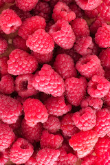 Raspberry fruit background
