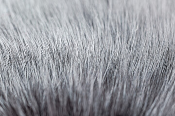 Grey white fur close-up, used as a background or texture. Soft focus