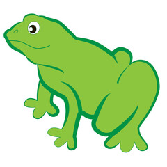 Cartoon green frog on a white background.