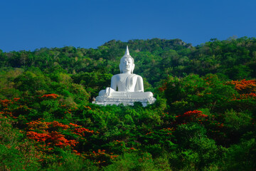 white pagoda in the park
