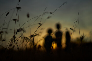 Silhouette of Kids watching sunset at summer wheat field